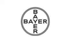 WeSurf Desarrollos Sustentables