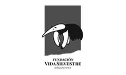 WeSurf Desarrollos Sustentables